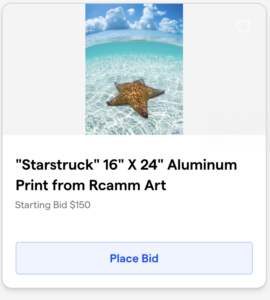 Spring Auction 7