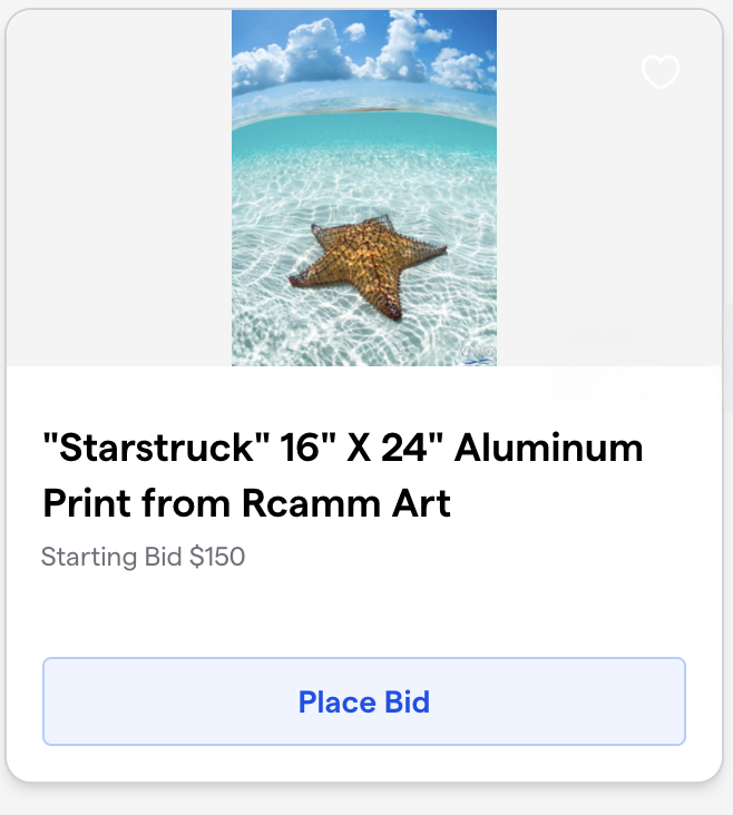Spring Auction 7